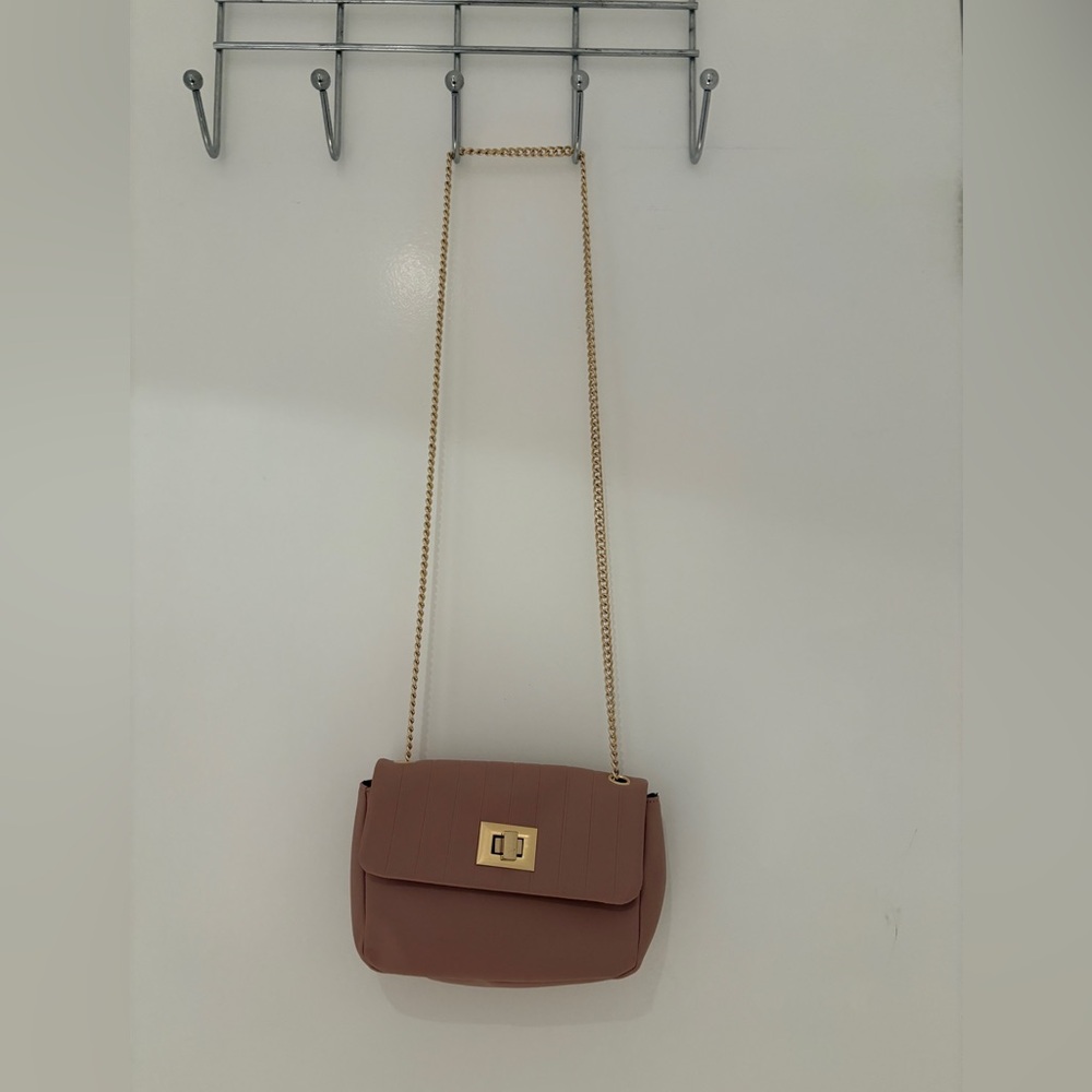 Small pink purse with gold buckle and gold chain